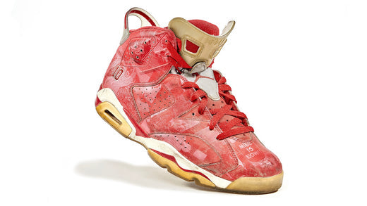 The Slam Dunk Air Jordan 6 from 2014