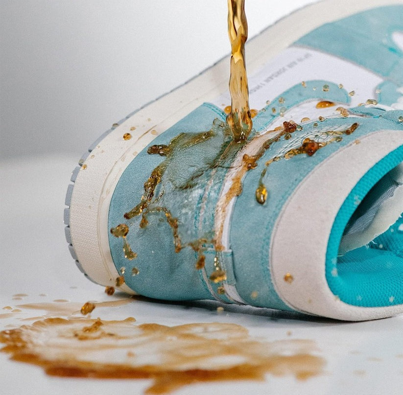 EXECUTIVE SHOE CLEANING SYSTEM