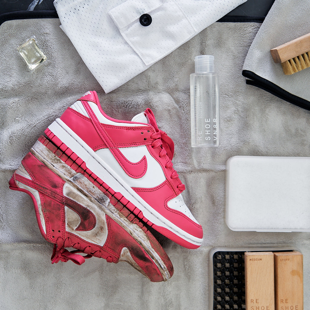 WHOLE FAMILY SHOE LAUNDRY CLEANING SYSTEM